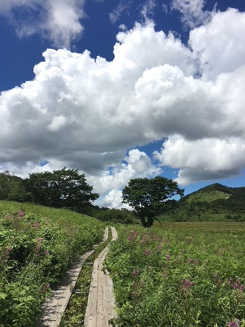 梅雨明け