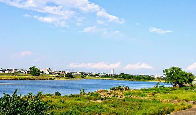 初夏の多摩川を楽し く散歩してきました O 神奈川 東京で地震に強い注文住宅を建てる朝日ホームのブログ