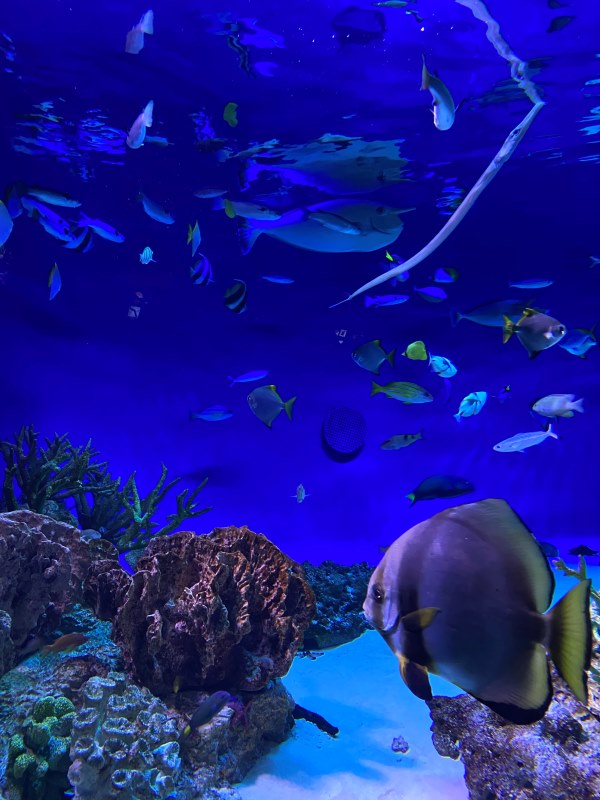 水族館