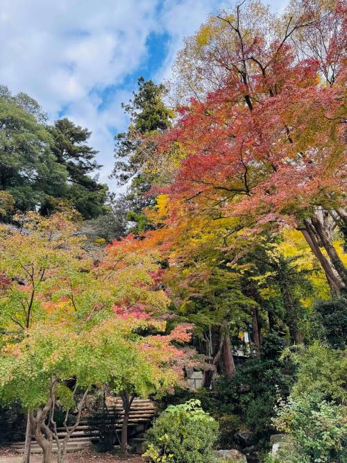 高尾山1