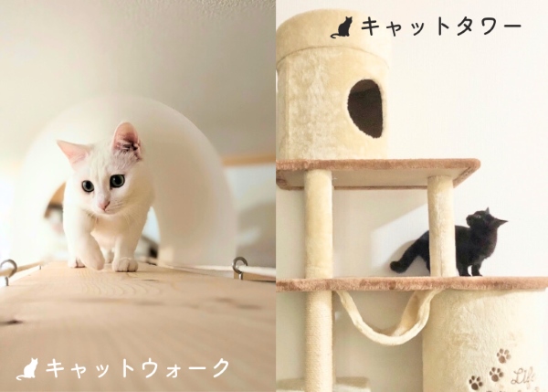 キャットウォークとキャットタワー